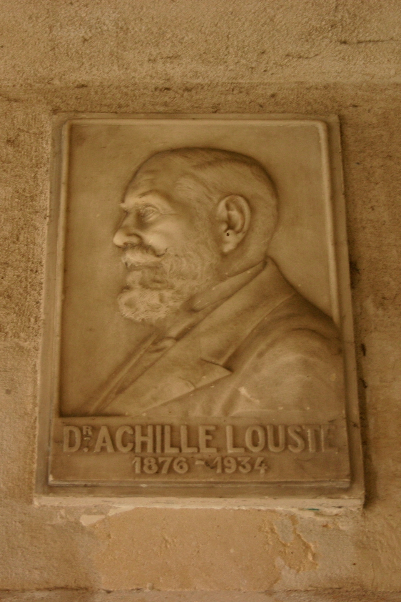 Achille Louste's bas-relief, Hôpital Saint Louis, Paris (3).JPG
